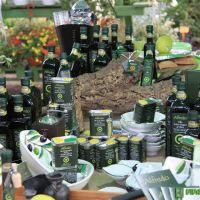 food-and-wine-in-the-green-2014-12