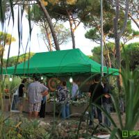 food-and-wine-in-the-green-2014-13