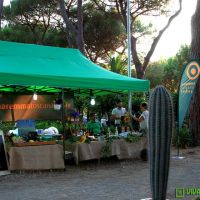 food-and-wine-in-the-green-2014-15
