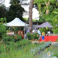 food-and-wine-in-the-green-2014-17